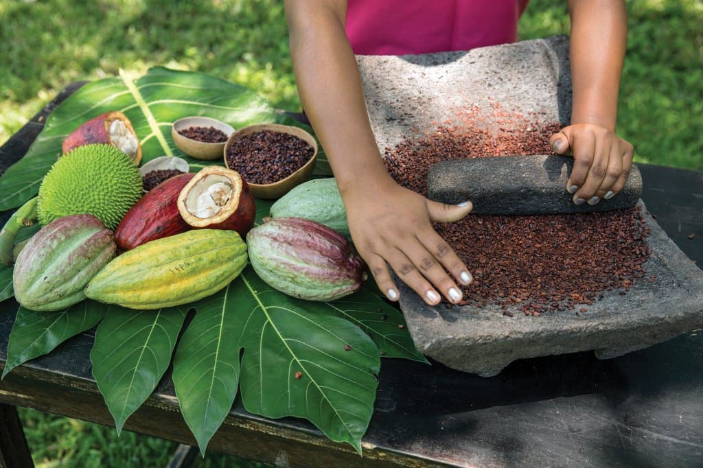 Mayan Village & Chocolate Making Tour